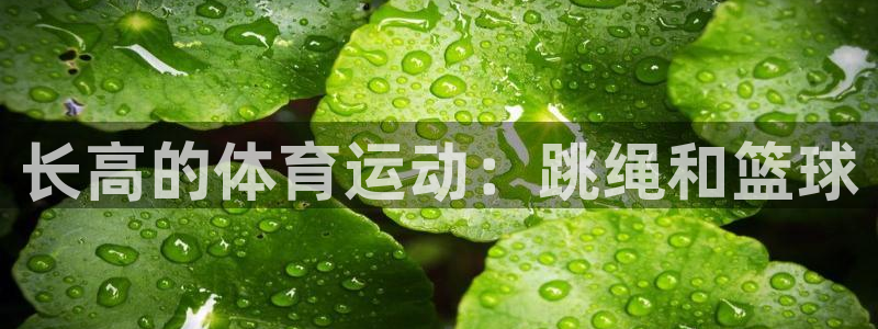 意昂4体育用品