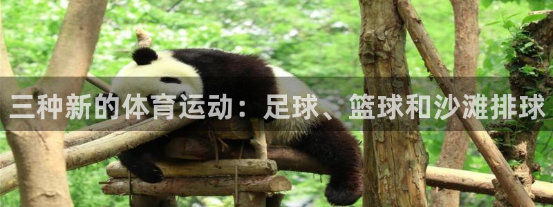 意昂43官网登录