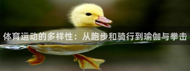 意昂4体育在线注册