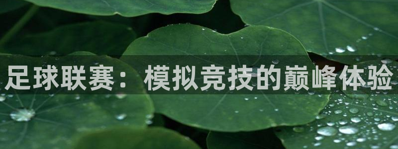 意昂4平台代理