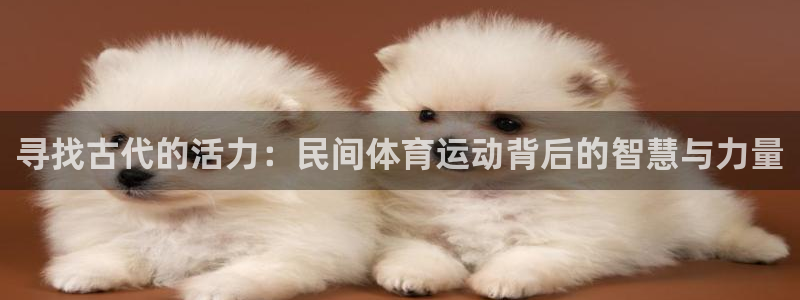 意昂4平台代理