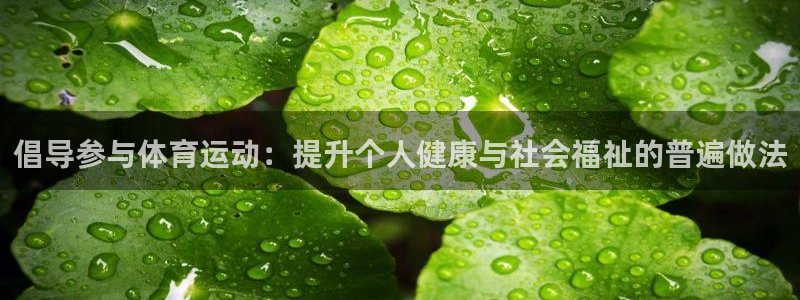 意昂4体育论坛