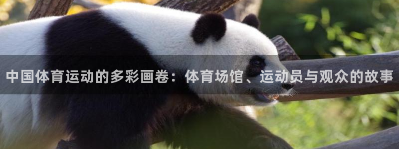 意昂4代理