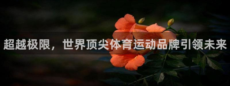 意昂4平台