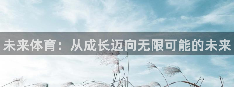 意昂4是谁开发的