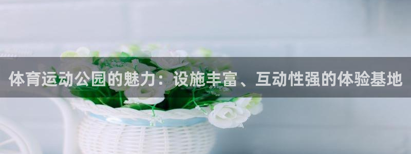 意昂4kgame