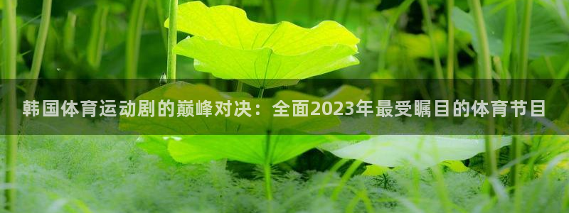 意昂43官网登录