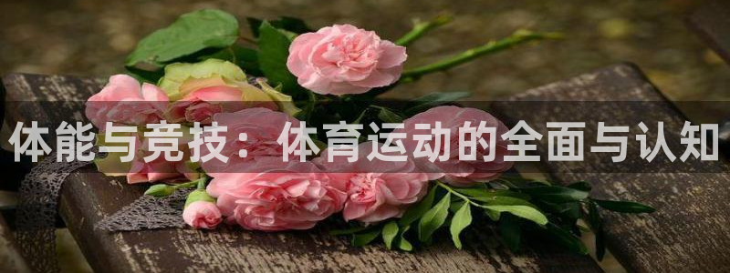 意昂43平台注册