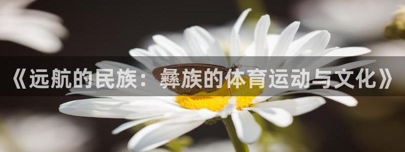 意昂43