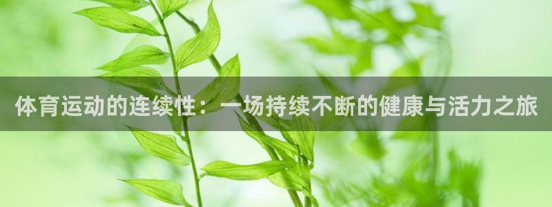 上海意昂4汽车电子有限公司