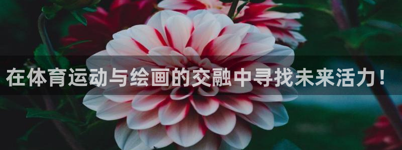 意昂4体育2官网入口